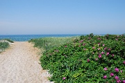 Strand bei Ahrenshoop
