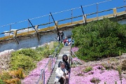 Alcatraz